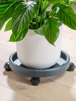 Support pour plantes facile à déplacer grâce aux rouleaux en plastique